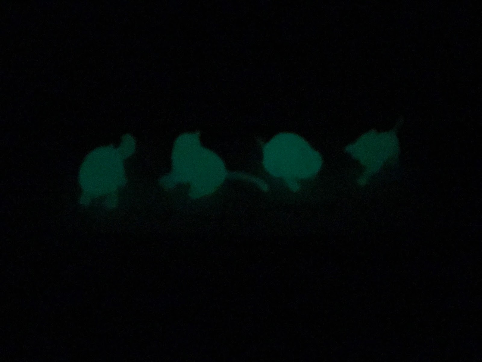 Eastside Cats GlowInTheDark Cats