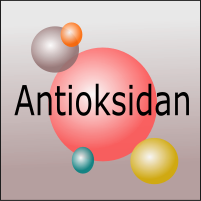 Apakah antioksidan itu?