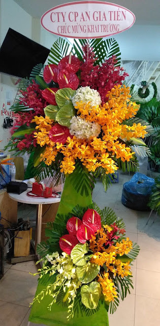 hoa khai truong cua hang