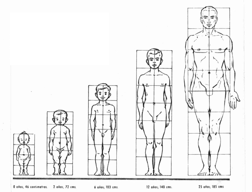 Guía completa de dibujo La figura humana cuaderno ejercicios