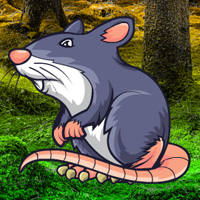 Wowescape Giant Rat Fanta…