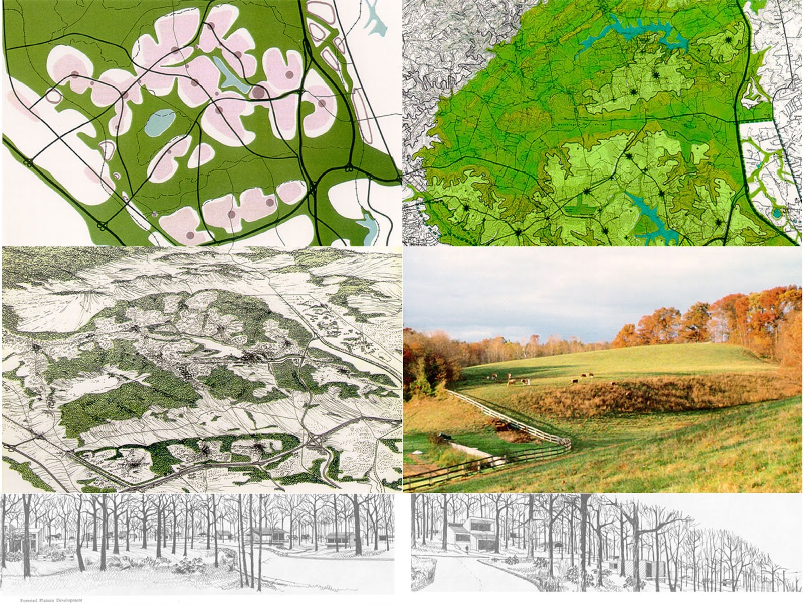 Reflections on Urban Design Design, Nature and Influence Ian McHarg
