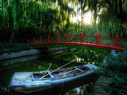 rain in the grass. red bridge (red bridge )