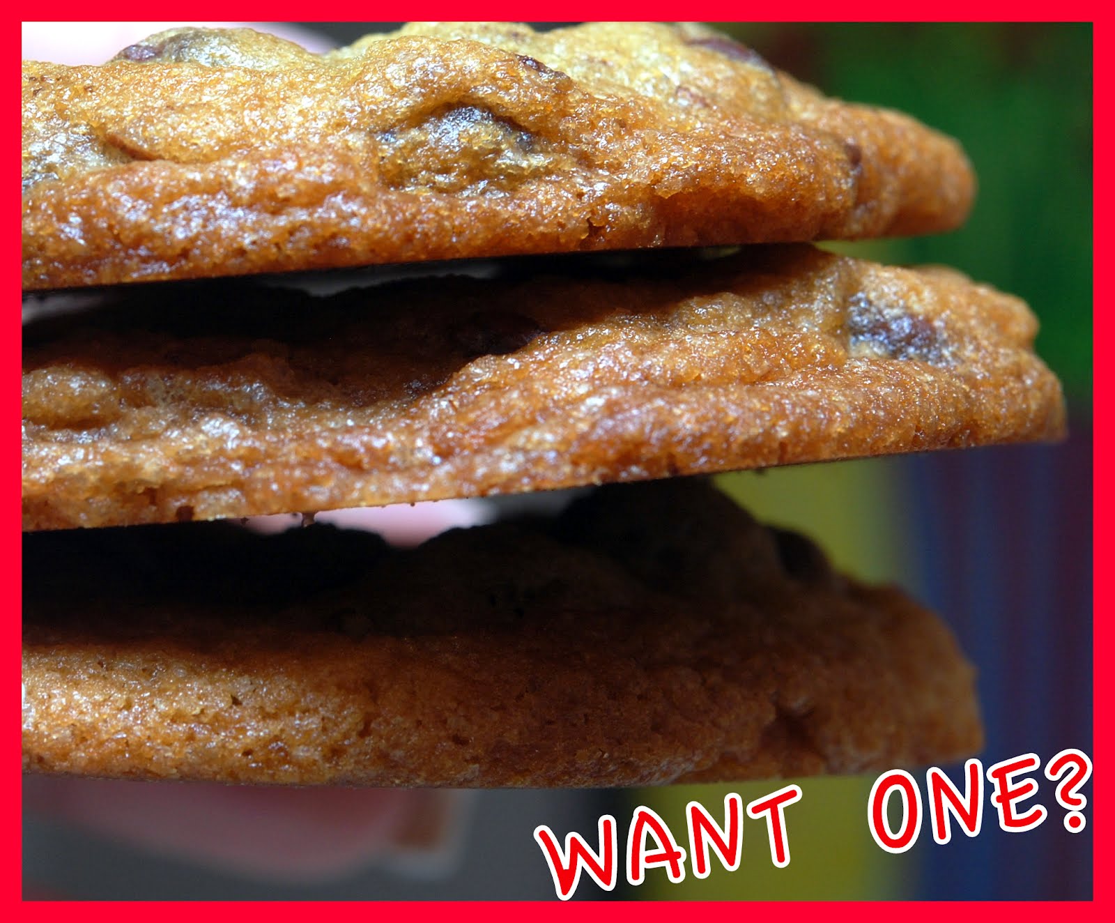 PARADISE CAFE CHOCOLATE CHIP COOKIES Hugs and Cookies XOXO