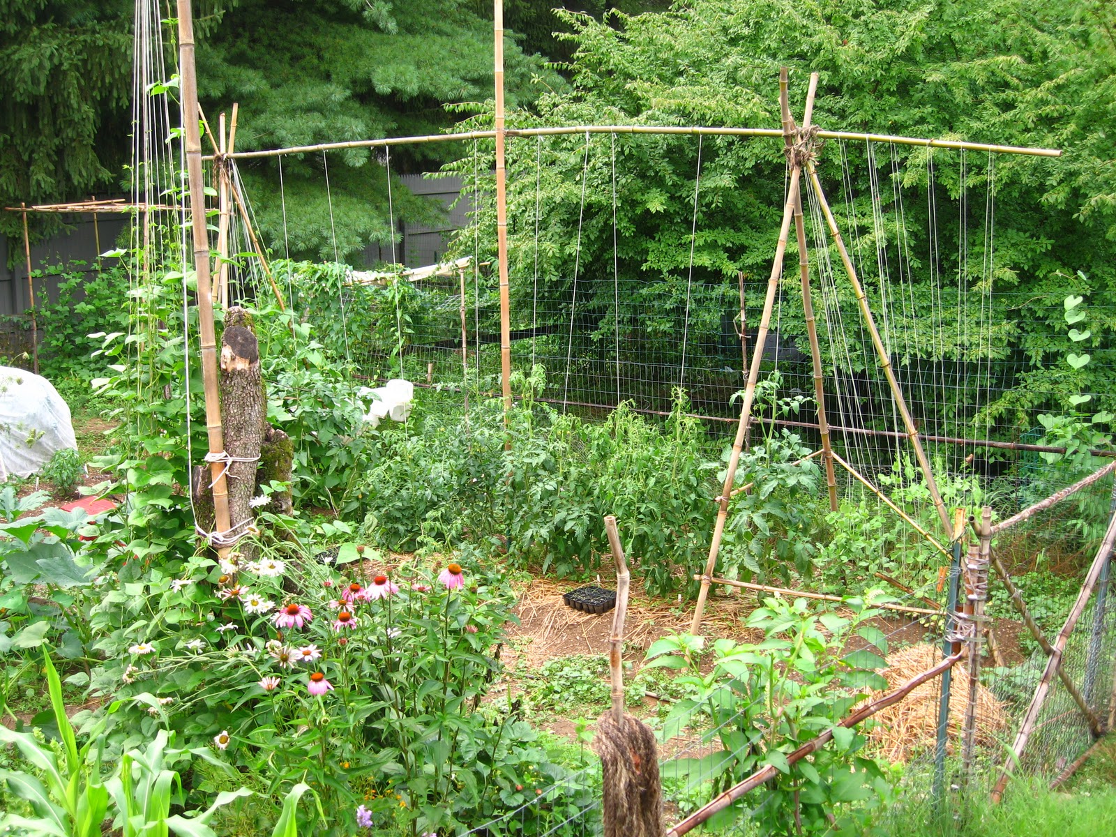 Future House Farm This trellis sucks