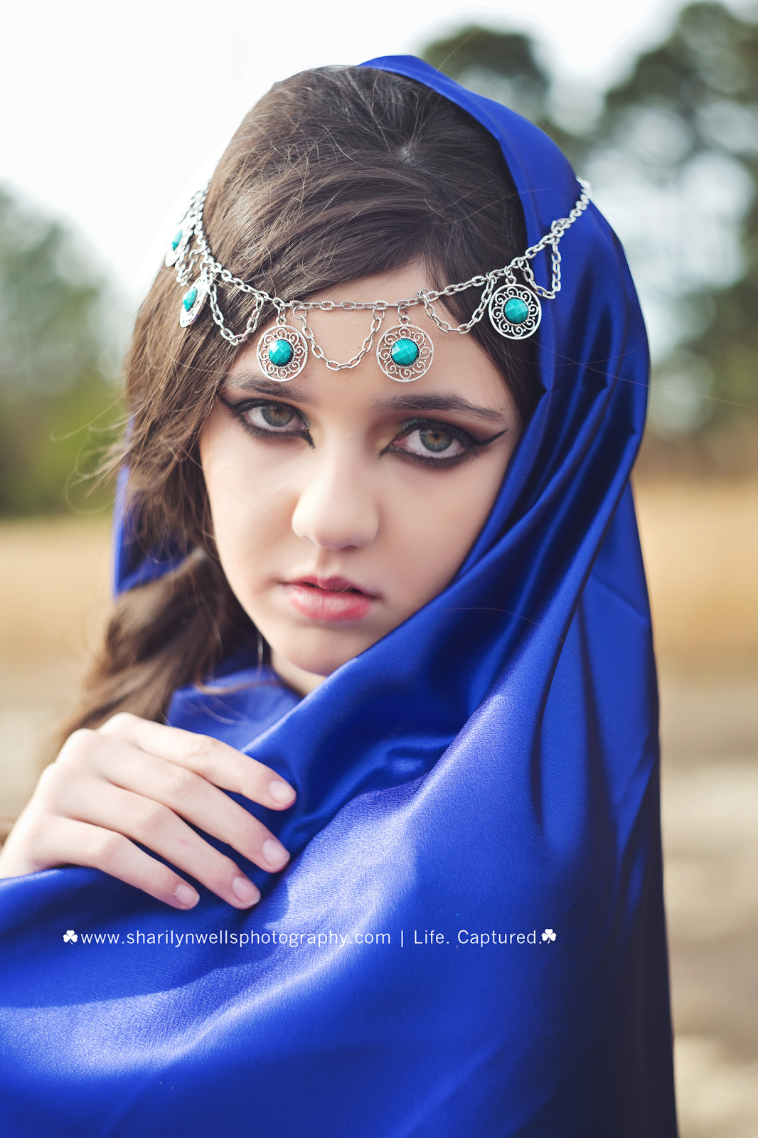 Sharilyn Wells Photography: Arabian Beauty | Creative | Sanford, N.C ...