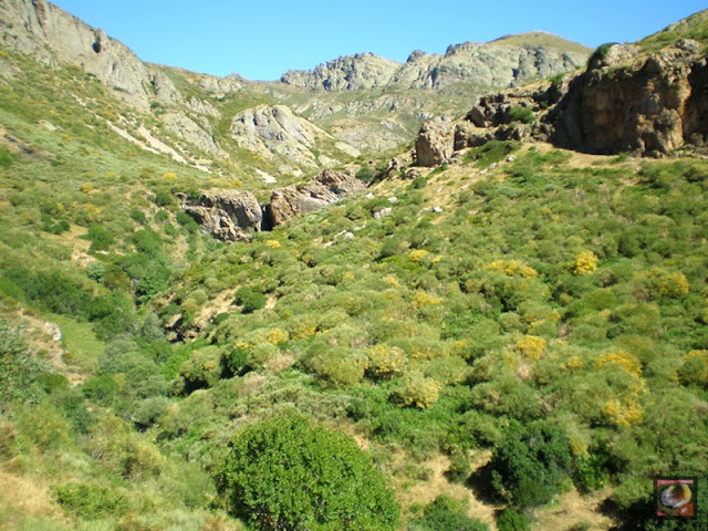 Cascada de Mazobre, Cardaño, Palencia