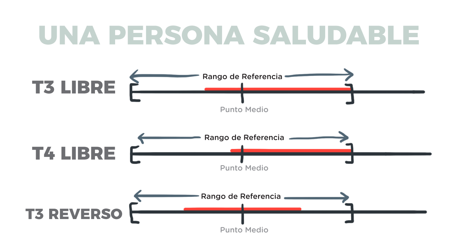 Tsh valores de referencia en adultos