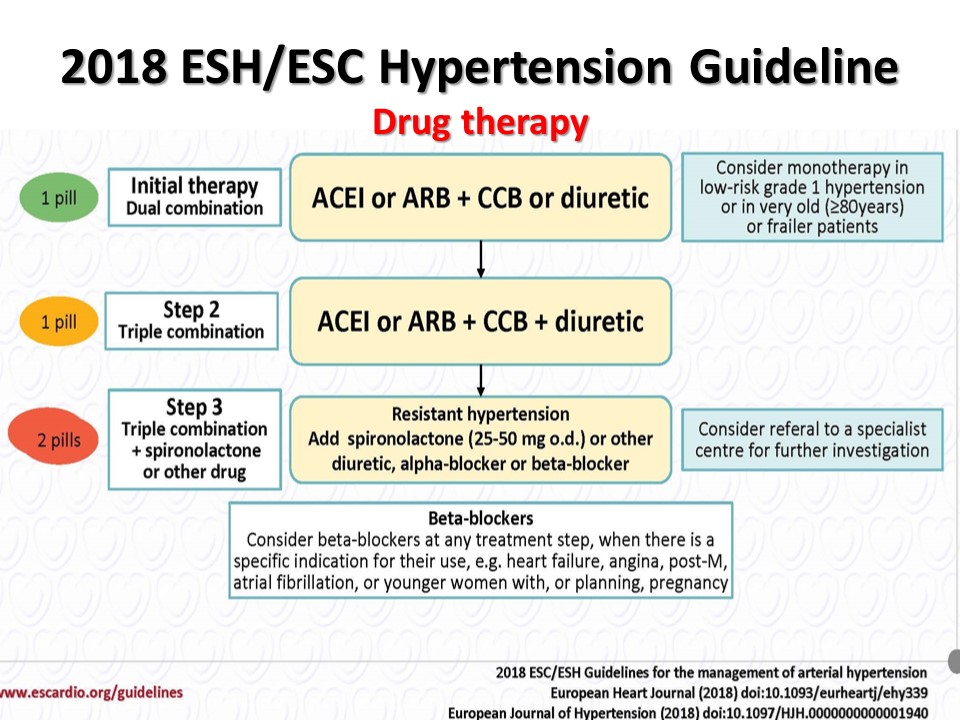 guidelines esc hypertension)