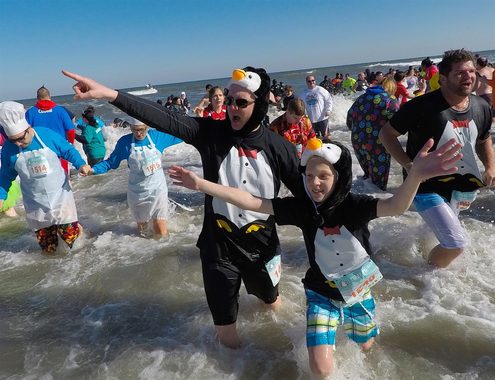 Polar Plunge 2019