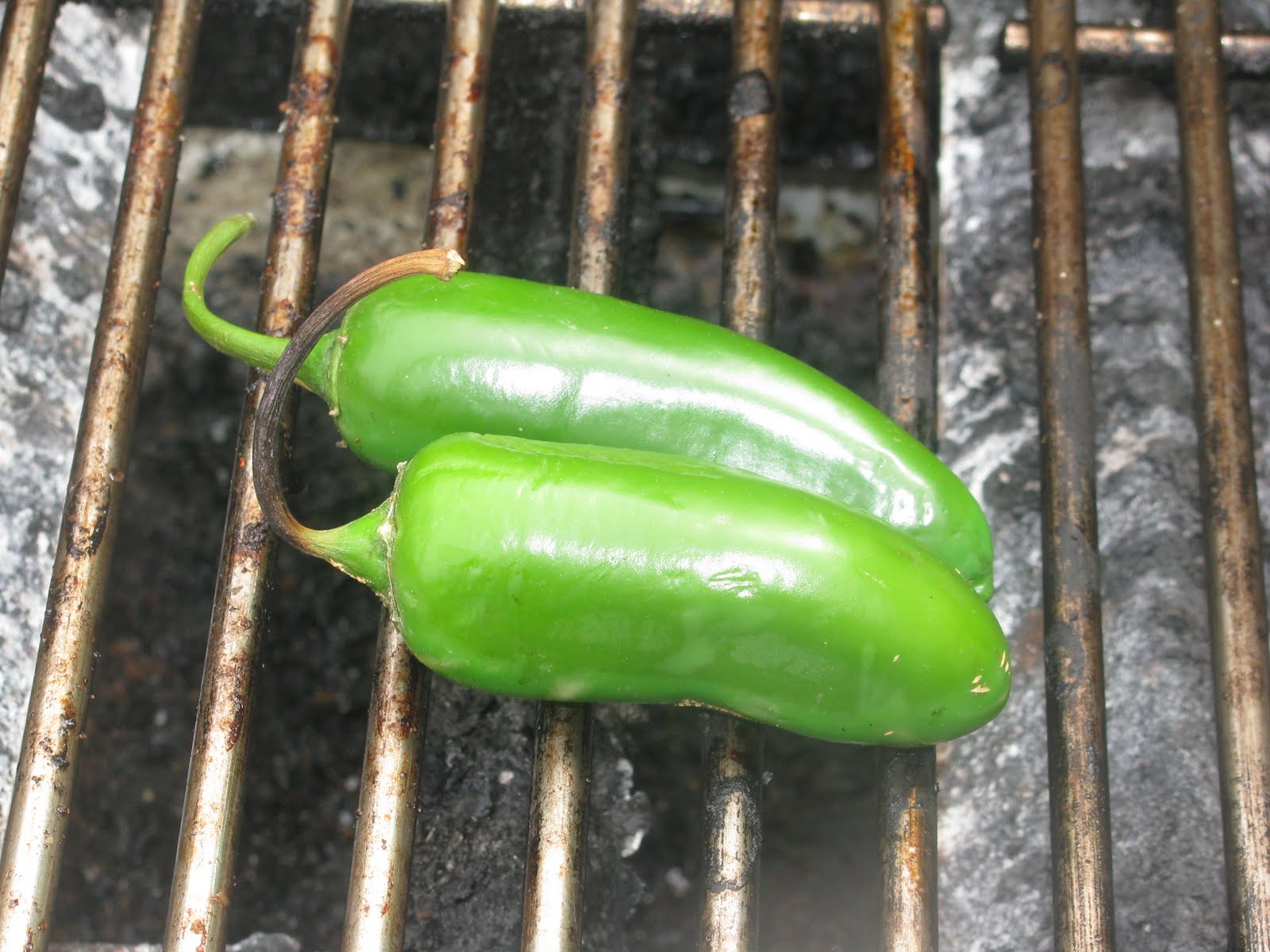 Shamrocks and Shenanigans Roasted Jalapeno Cheese Dip