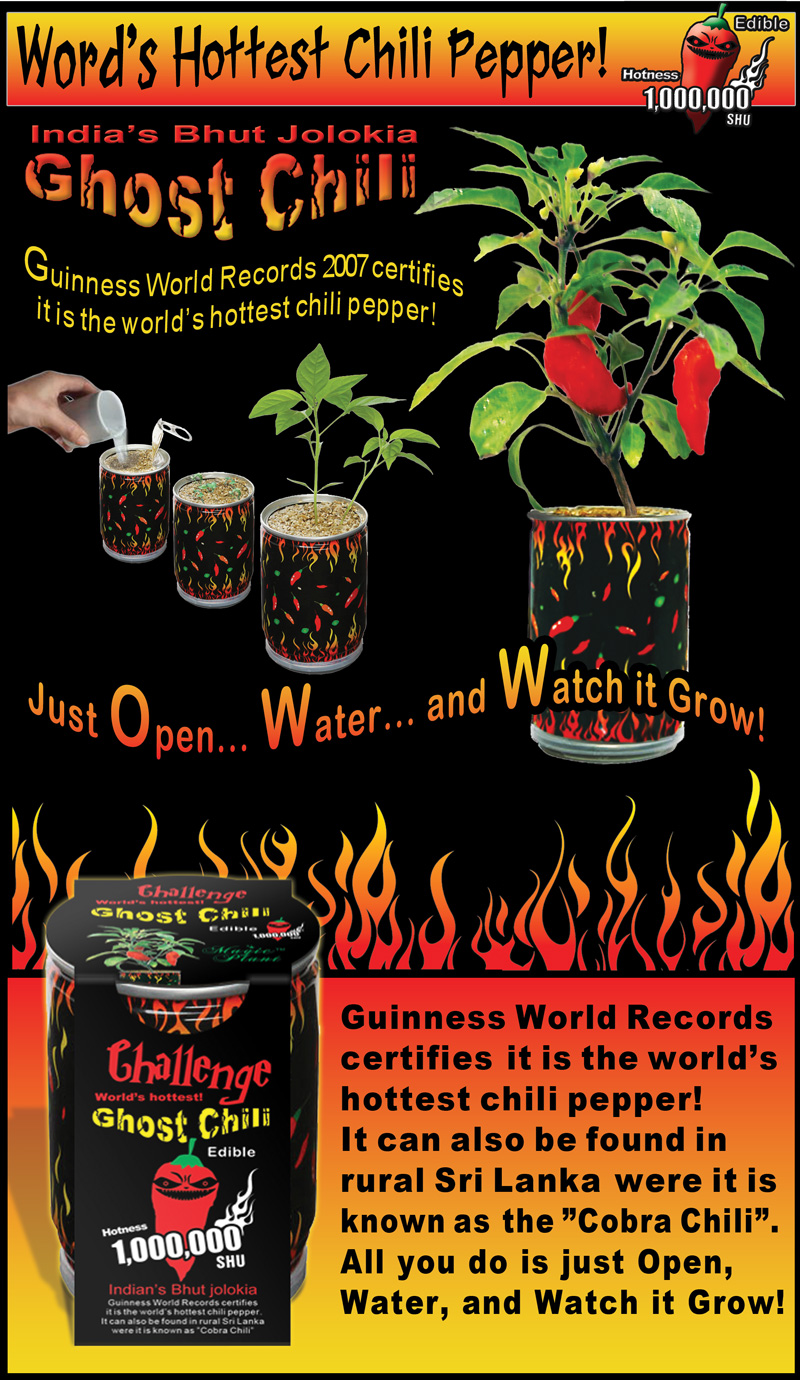 Ghost Chili Pepper - Bhut Jolokia: How to Grow Ghost Chili Pepper (Bhut ...