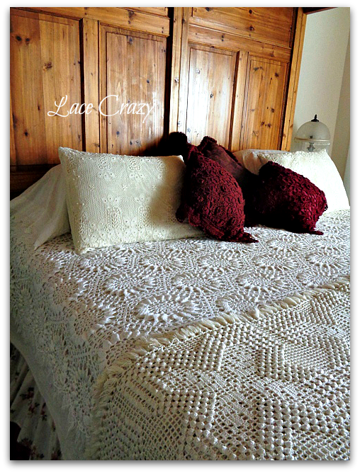 Lace Crazy Vintage Pillow Shams...
