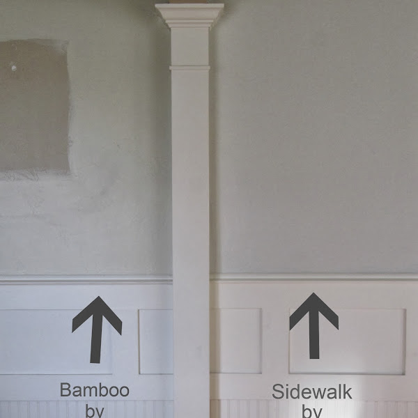 My Color pick for our Dining and Living Room