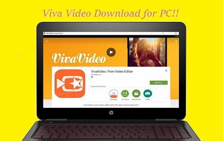 viva video online pc