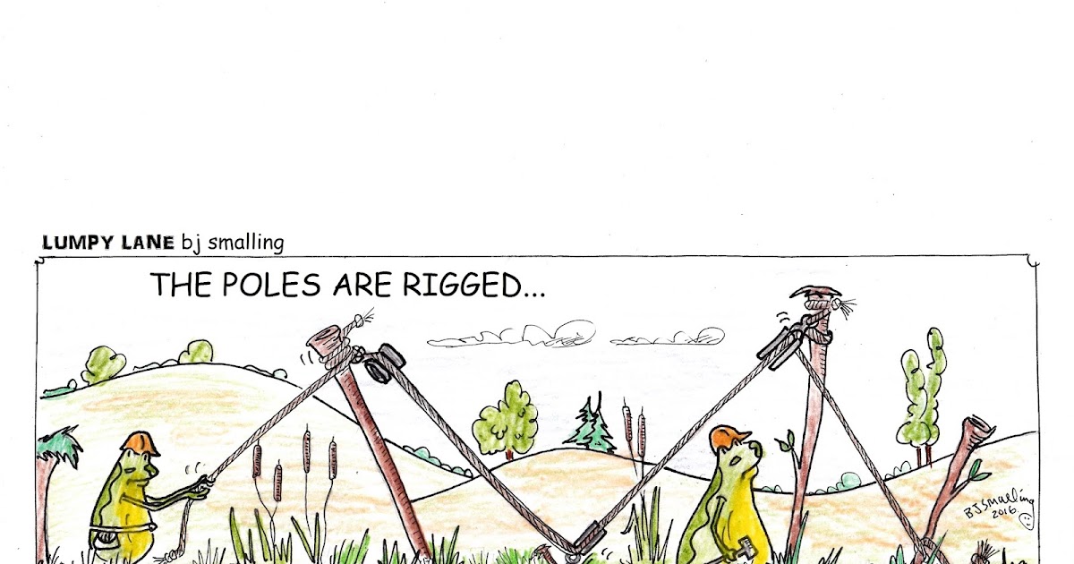 Toonfinder The Poles are Rigged...