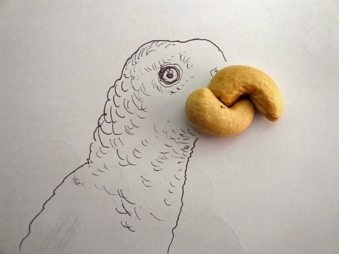 Amazing sketches made with everday objects by Victor Nunes