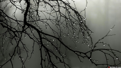 صور مطر , خلفيات أمطار وشتاء جميلة تعبر عن البرد Maxresdefault