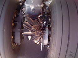 bird aircraft birds maintenance tools