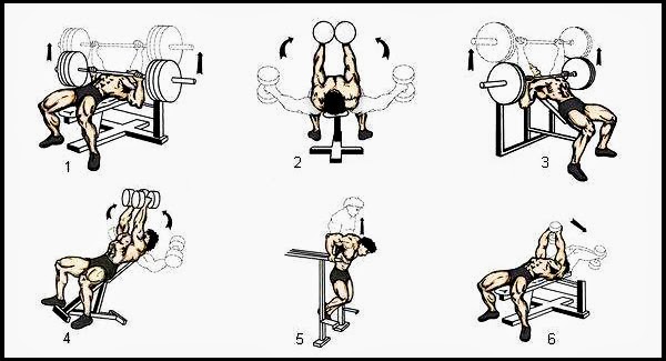 Bodybuilding Chest Exercises At Home