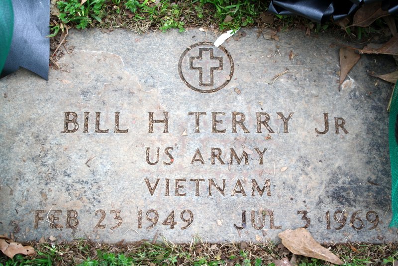 Climbing the Branches of My Family Tree SATURDAY'S STRUCTURE Elmwood