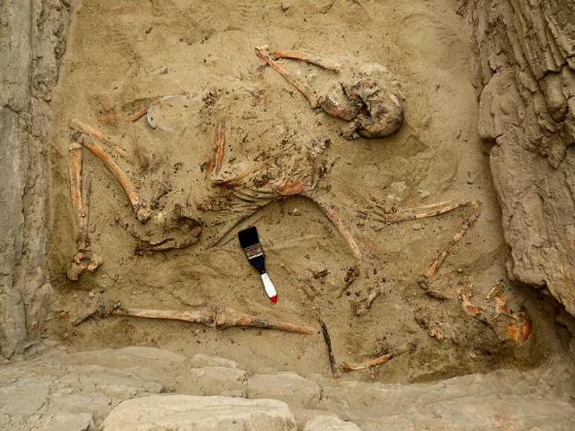 Tomb of elite Chimu musician discovered in Peru