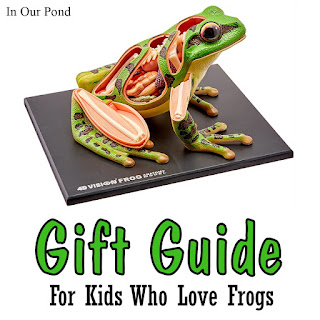 Gifts for Kids who Love Frogs- a Gift Guide from In Our Pond