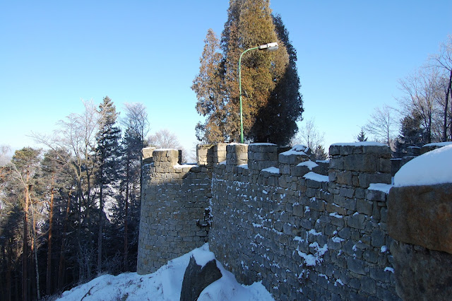 DSC_7399.JPG