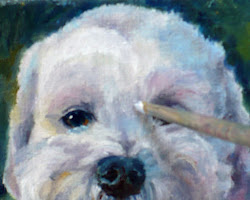dog oil poodle portrait pet paintings paint canvas schnauzer watercolor mix