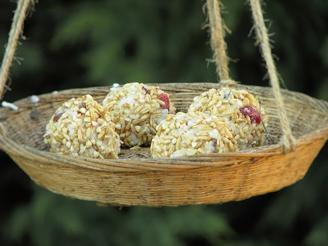 Boules de graisse et de graines pour les oiseaux des jardins recette de boules de graisses végétariennes au riz, graines et aux fruits secs pour les oiseaux des jardins