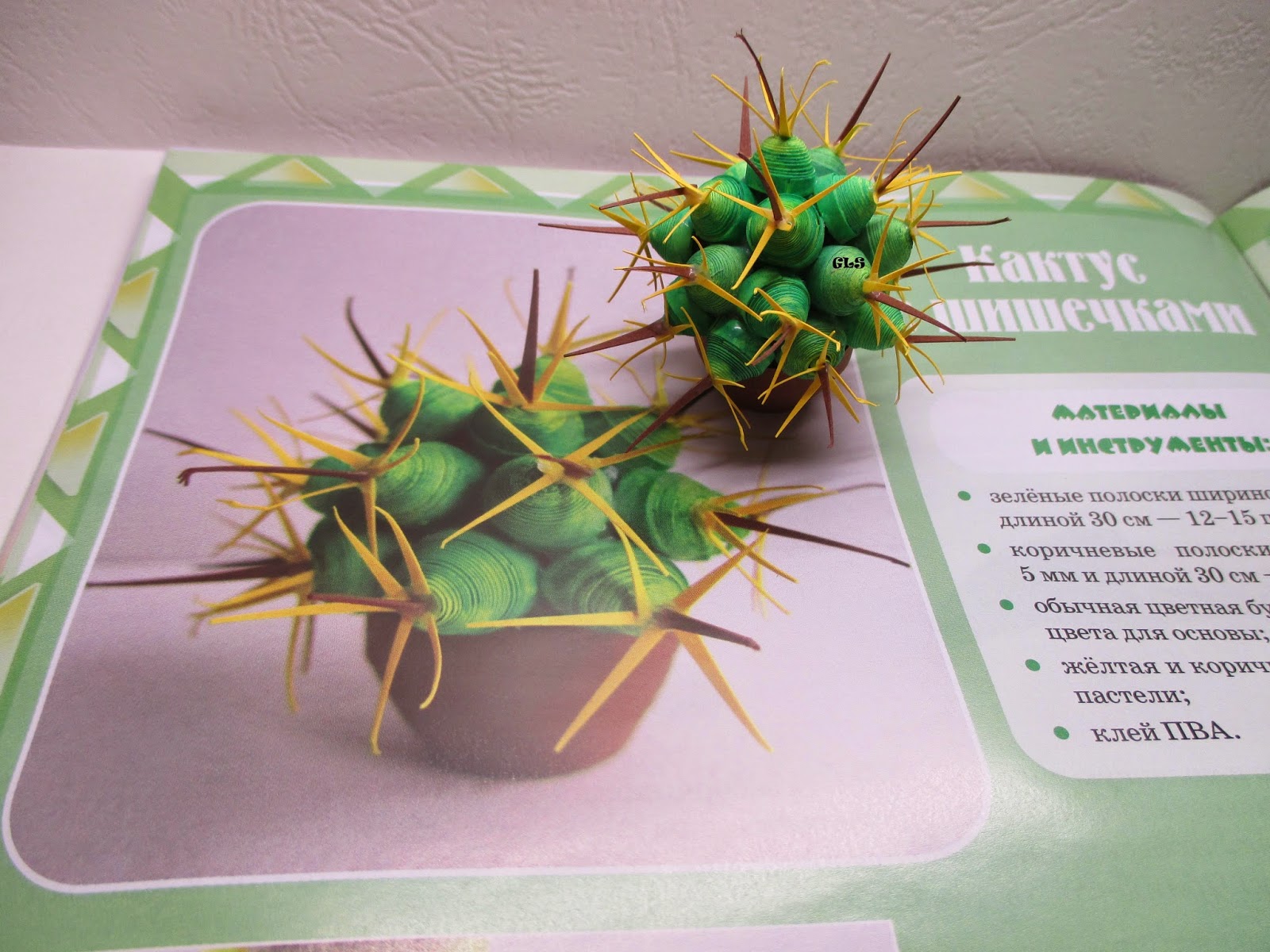 Опунция змеевидная. Кактус 2007. Кактус цереус гигантский. Кактус эхинопсис. Кактус 2007.