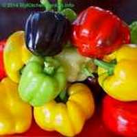Capsicums, Bell Peppers
