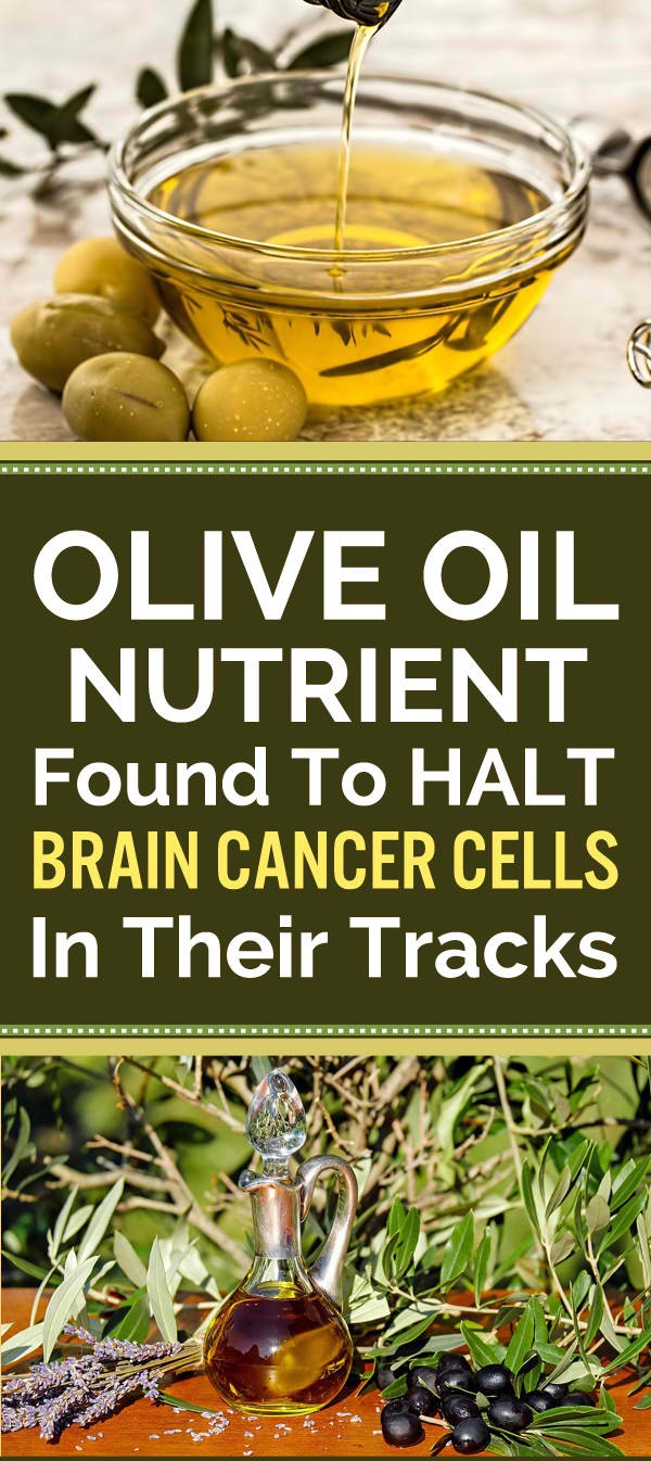 The secret of Olive Oil to fight Brain Cancer Cells Mediterranean