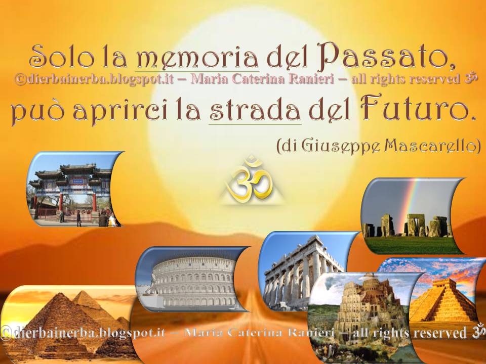 Di Erba In Erba E Non Solo Aforisma Sul Passato E Sul Futuro