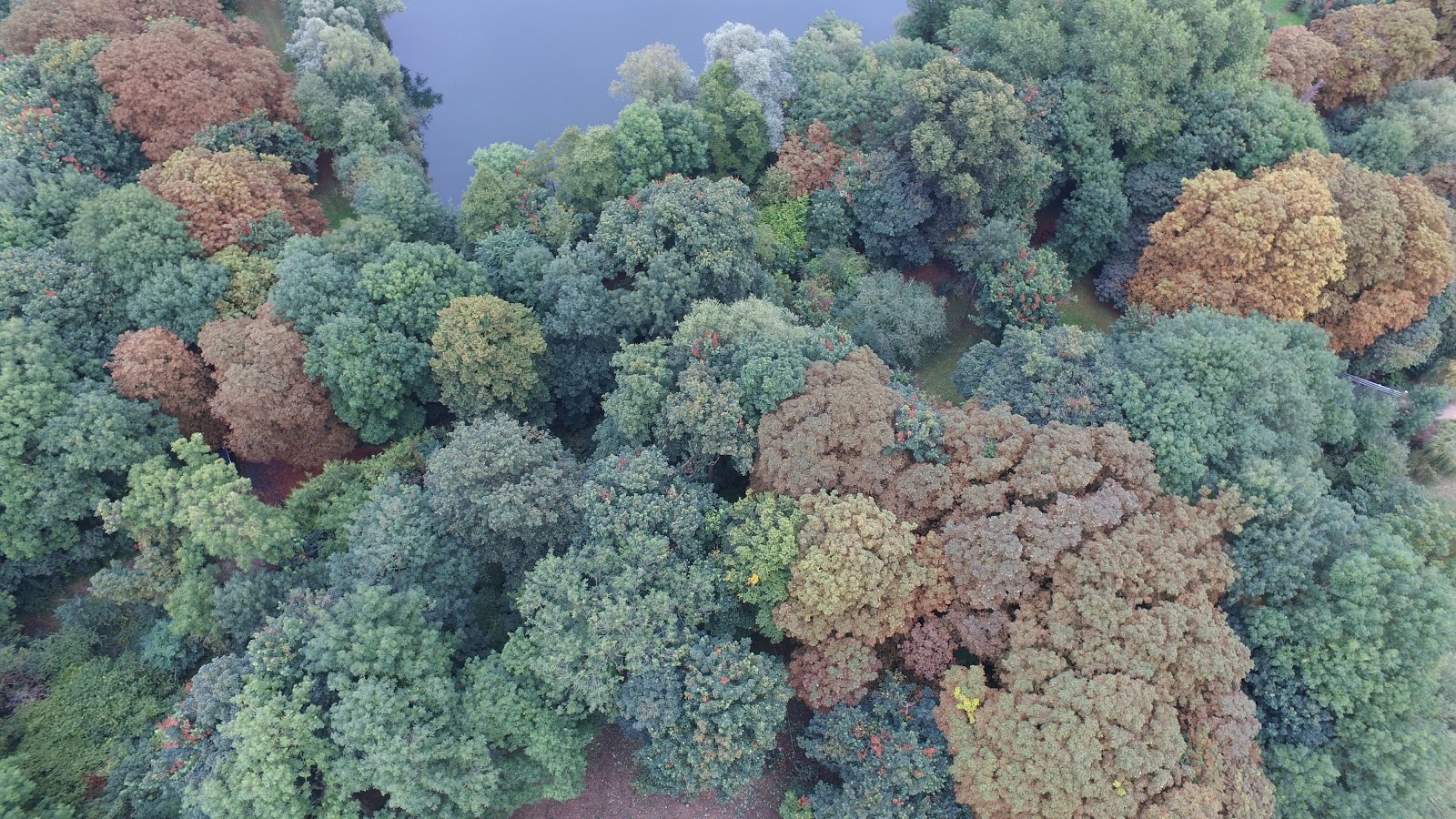 Unique Riverside Development Land For Sale