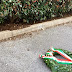 Udine,atti vandalici al Parco Martiri delle Foibe.La denuncia di Fratelli d'Italia