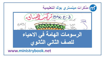 الرسومات الهامة في الاحياء للصف الثاني الثانوي 2019-2020-2021