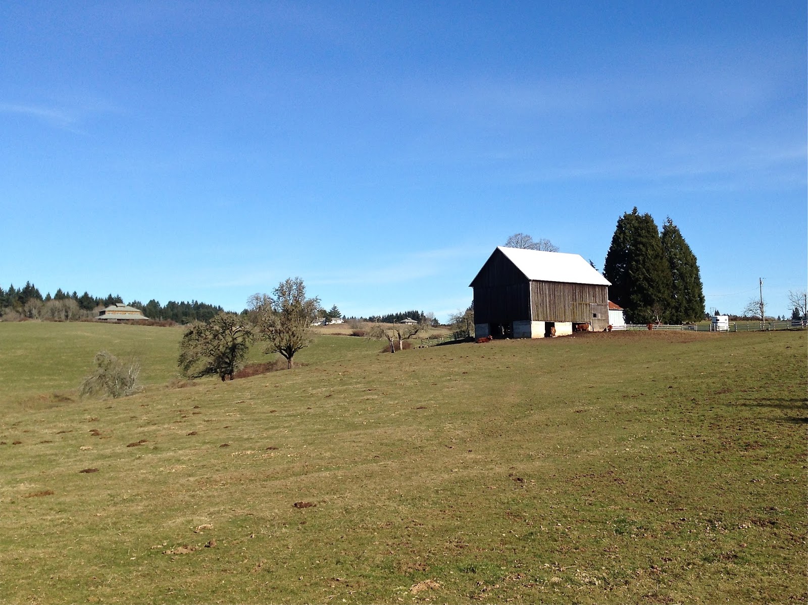 Venture Out Vineyard and Valley Scenic Byway Helvetia OR
