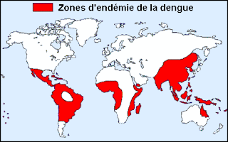 #thelancetinfectiousdiseases #dengue Fardeau économique global dengue analyse systématique