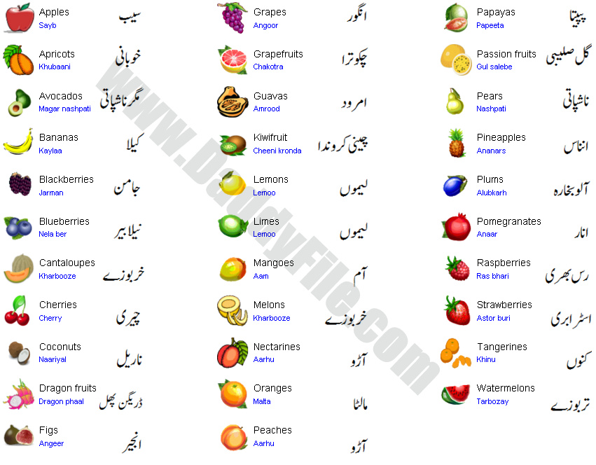 Fruits Name Word Meanings And Sentences In English And Urdu Learn