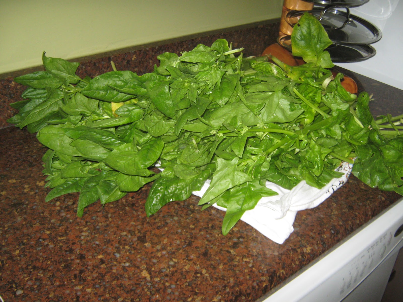 Simply Resourceful: Spinach Makes You Strong!