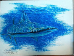 shark clay painting oil seascape canvas coller