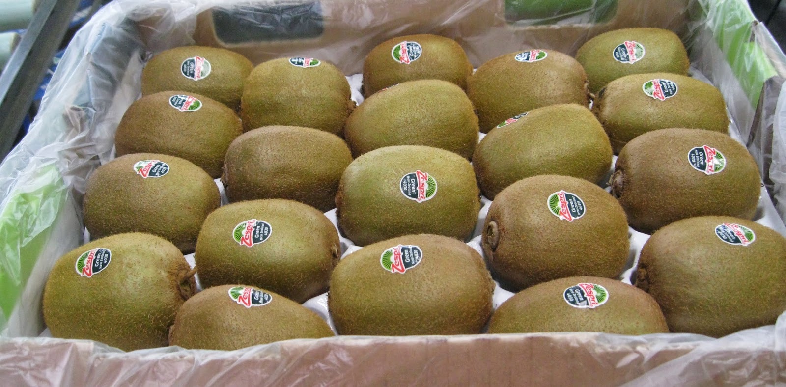 Quiltingorchardist Kiwifruit Being Packed.