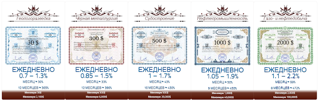 Маркетинг shareholder.company рефбек