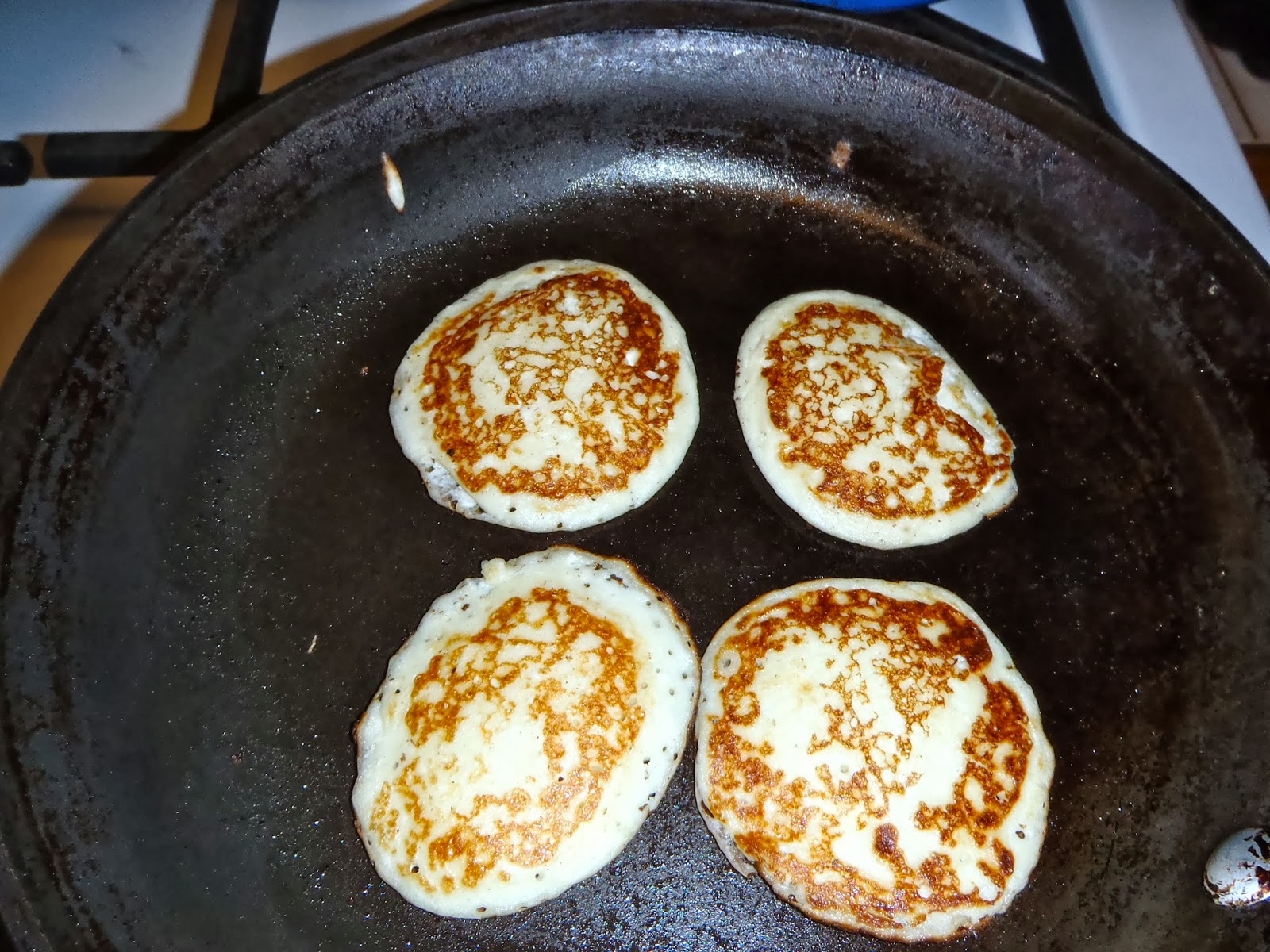 Slovenian Roots Quest Curd Cheese Pancakes, Russianstyle