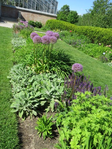 perennial garden