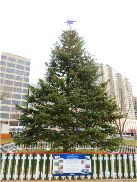 El Árbol de Navidad del Boston Common El Árbol de Navidad del Boston Common