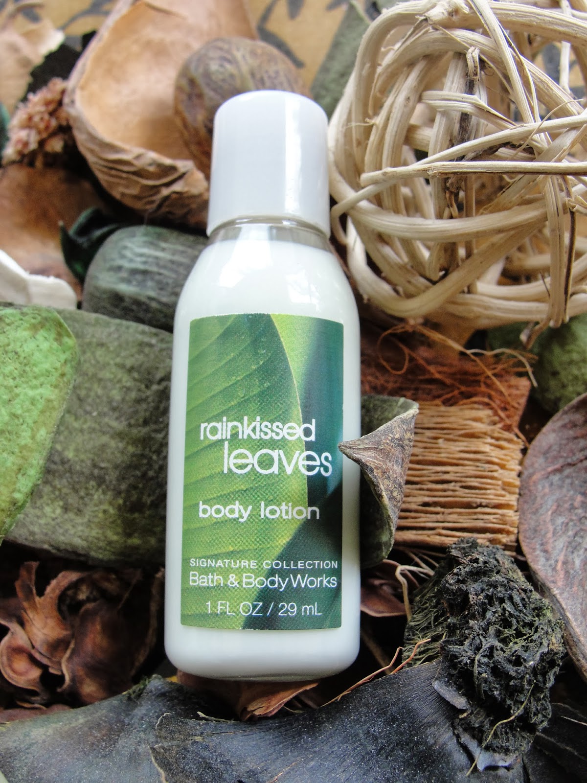 Bath & Body Works rainkissed leaves Review