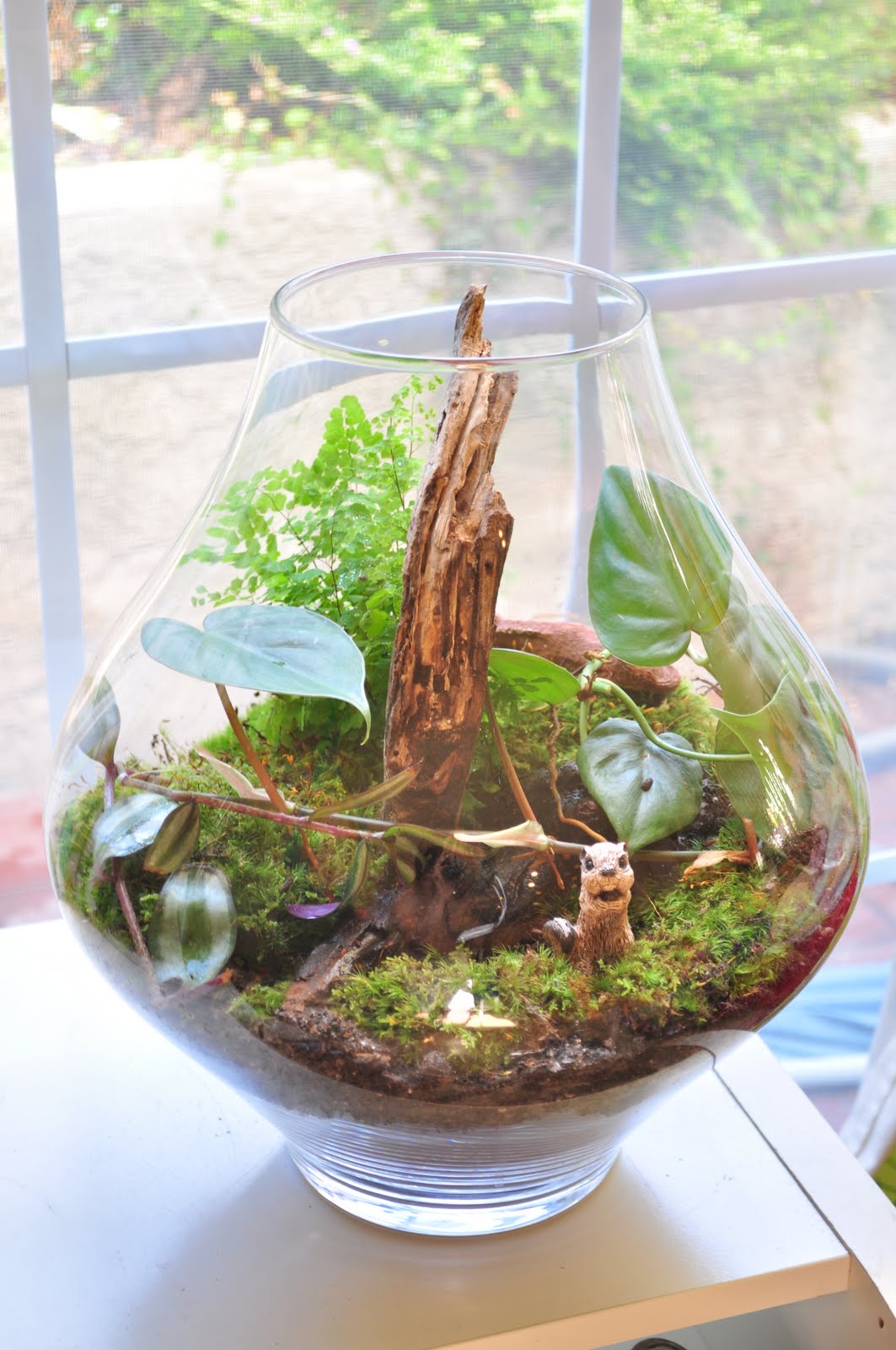 Terrarium & Timmy New planted Terrarium