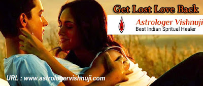 http://www.astrologervishnuji.com/